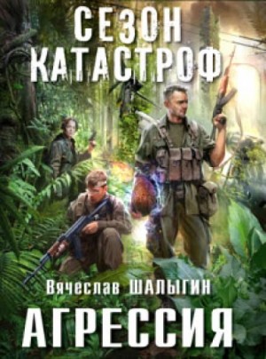 Приключения Андрея Лунёва: 1 Агрессия
