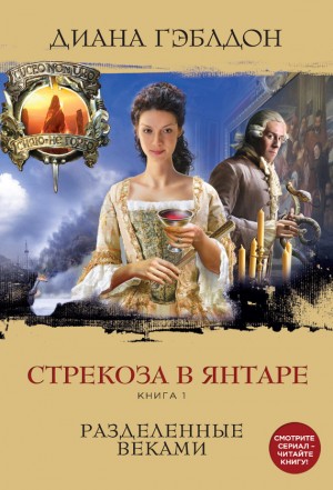 Чужестранка. Стрекоза в янтаре: 2.1. Разделённые веками