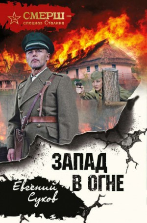 СМЕРШ – спецназ Сталина: Тимофей Романцев: 3. Запад в огне