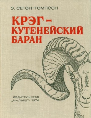 Крэг - кутенейский баран