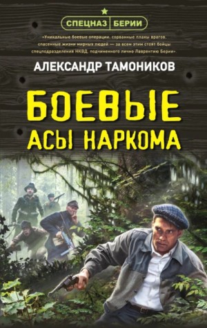 Спецназ Берии. Максим Шелестов: 13. Боевые асы наркома