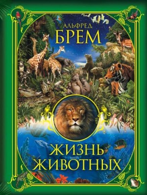 Жизнь животных