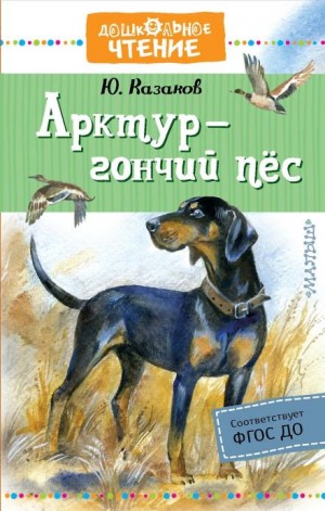 Арктур — гончий пёс