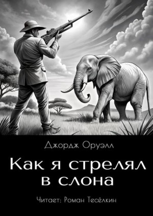 Как я стрелял в слона