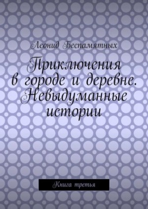 Приключения в городе и деревне. Невыдуманные истории