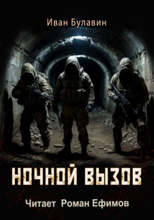 Ночной вызов