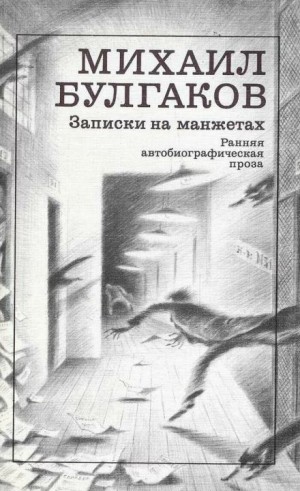 Записки на манжетах