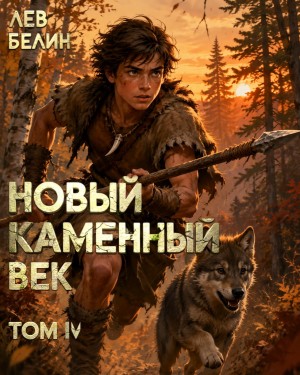 Новый каменный век. Том IV