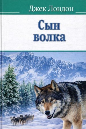 Сын волка