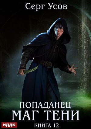 Попаданец. Маг Тени. Книга 12