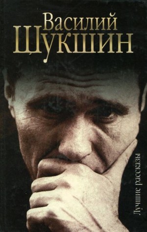 Рассказы. Часть 4