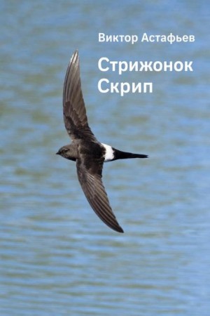 Стрижонок Скрип