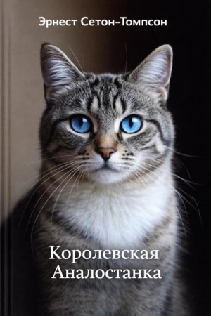 Королевская Аналостанка / Трущобная кошка