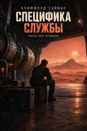 Специфика службы