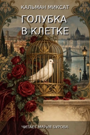 Голубка в клетке