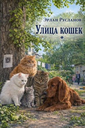 Улица кошек