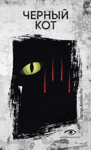 Чëрный кот
